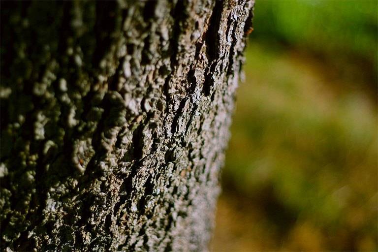 126 - Two Great Tastes