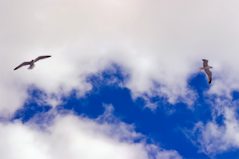 161 - After the Dance