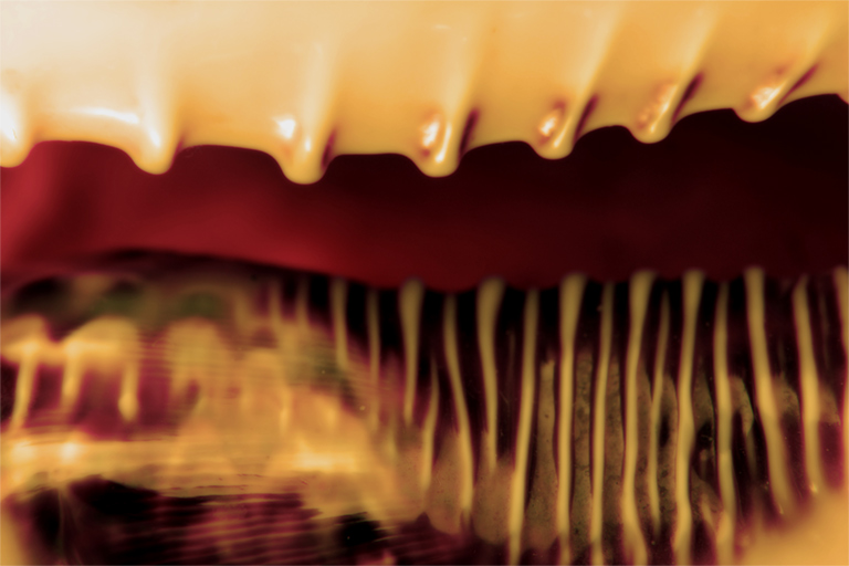 172 - Alien Abstract 2