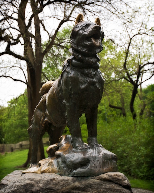 1701 - Balto