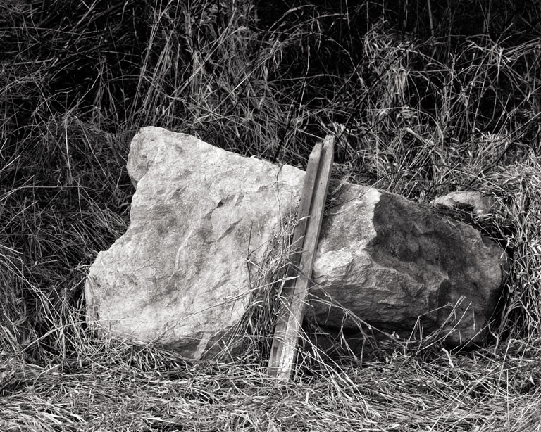 917 - Boulder in the Brush
