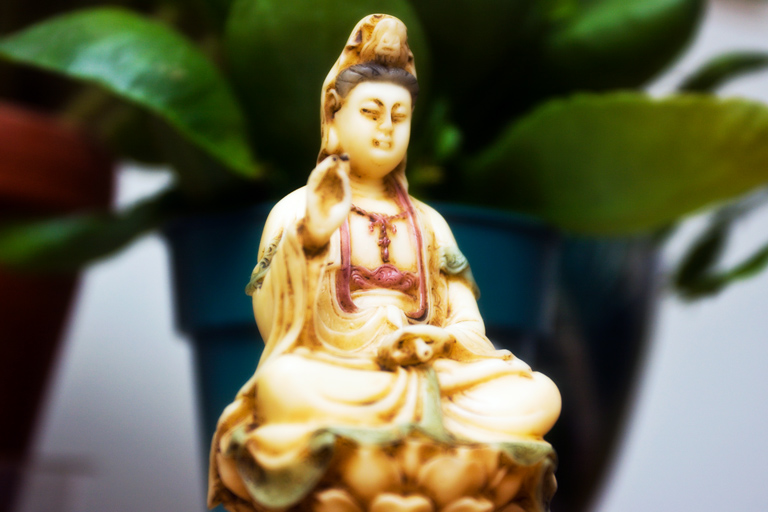 404 - Botanical Blessings