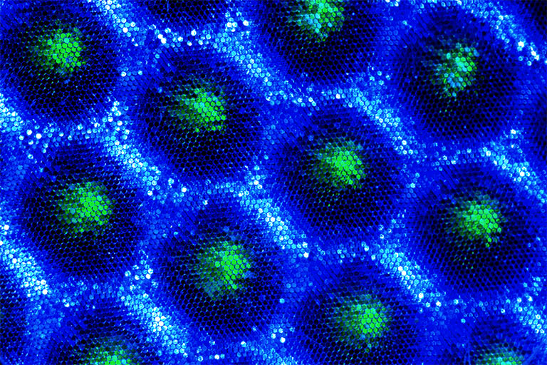 233 - Cellular Hibernation