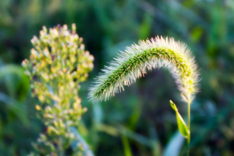 356 - Bend with Grace