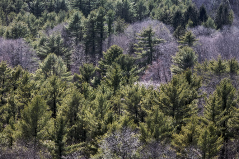 945 - Beyond the Ledges