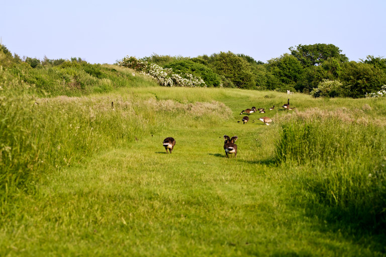 633 - Bringing Up the Rear