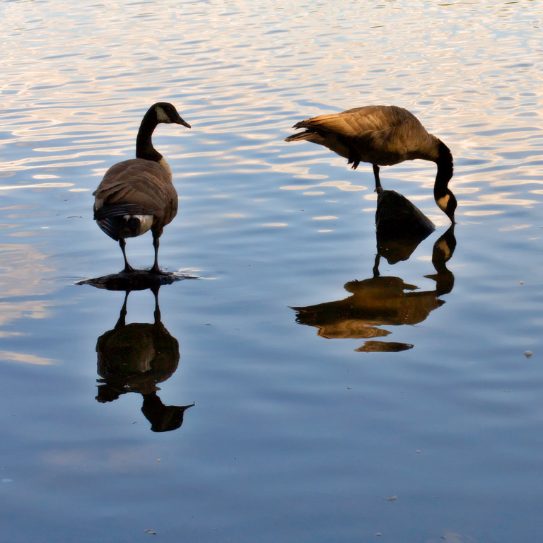 698 - Observing the Finer Points