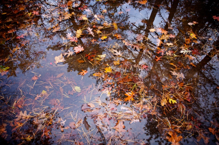 1139 - A Beautiful Soup