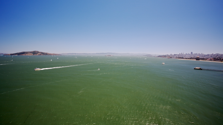 1022 - Beauty of the Bay