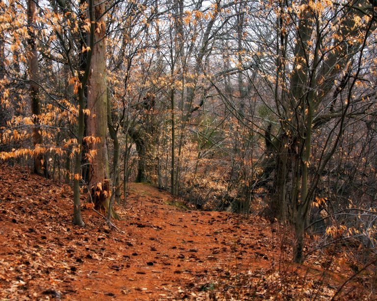 927 - By the Bend