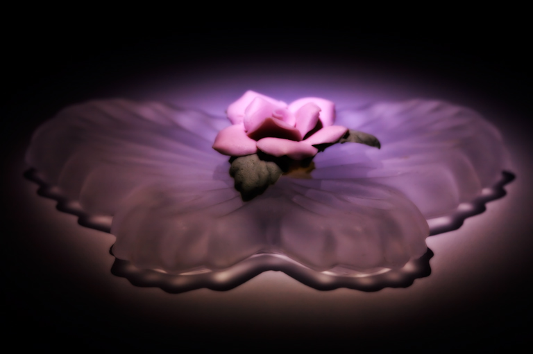 867 - Butterfly Blossom