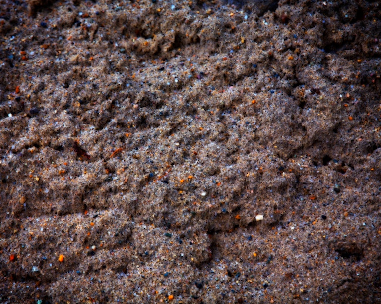 1195 - Bizarro Beach