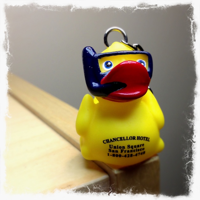 2900 - Chancellor Duckie