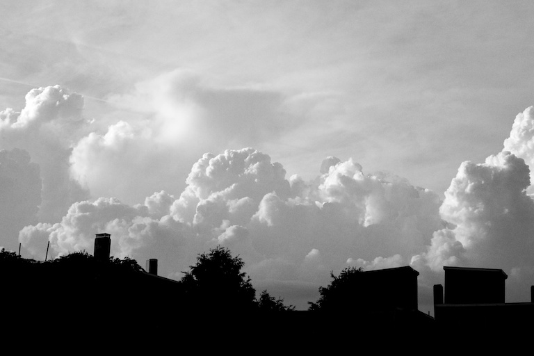 2962 - Cauliflower Congregation