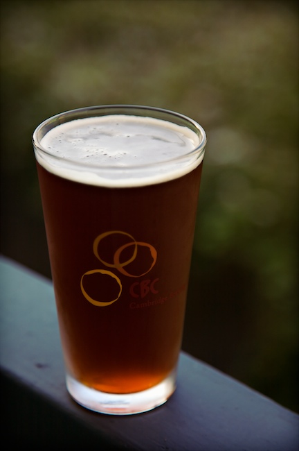 1441 - Cambridge Amber