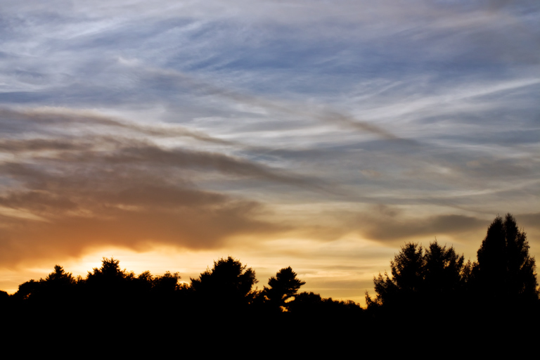 385 - Coming Attractions