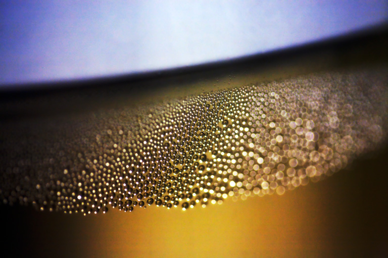 856 - Condensation Colony