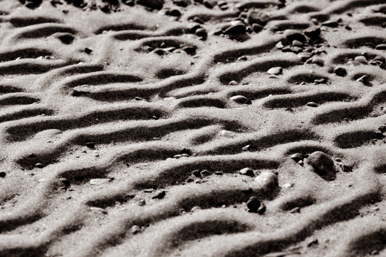 627 - Ocean's Evidence