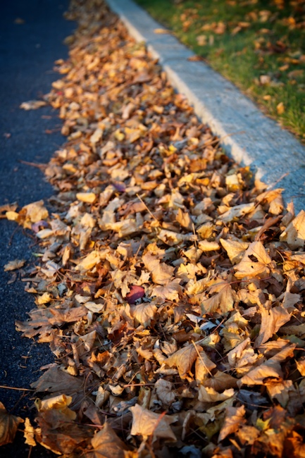 1162 - Curbside Collection