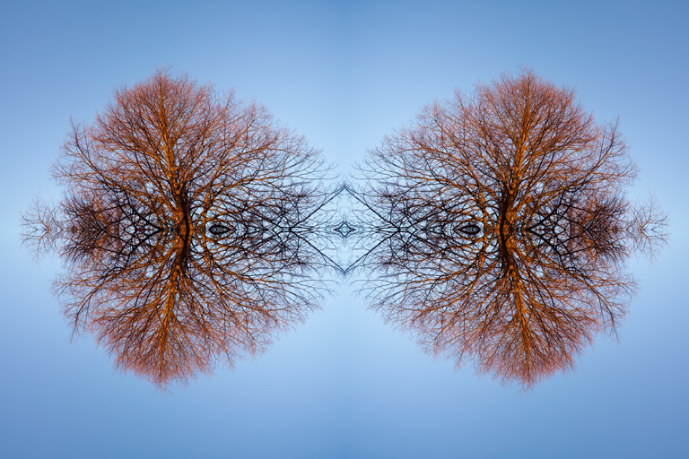 500 - Circulatory Mirror