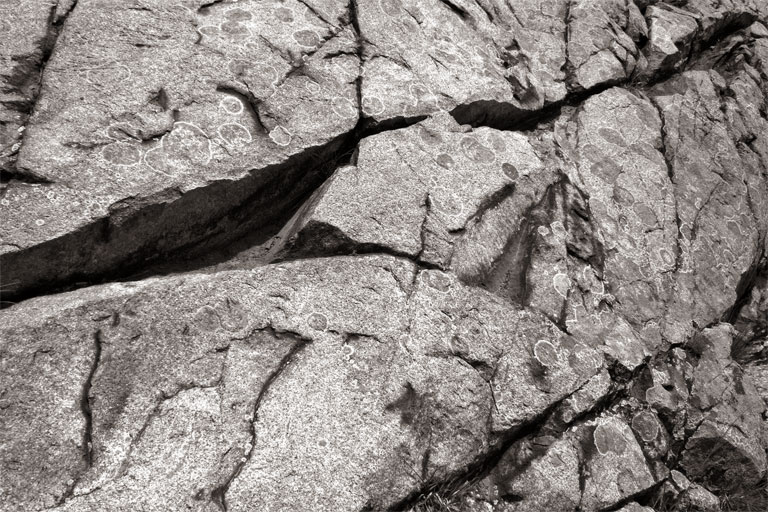 270 - Cracks and Fissures