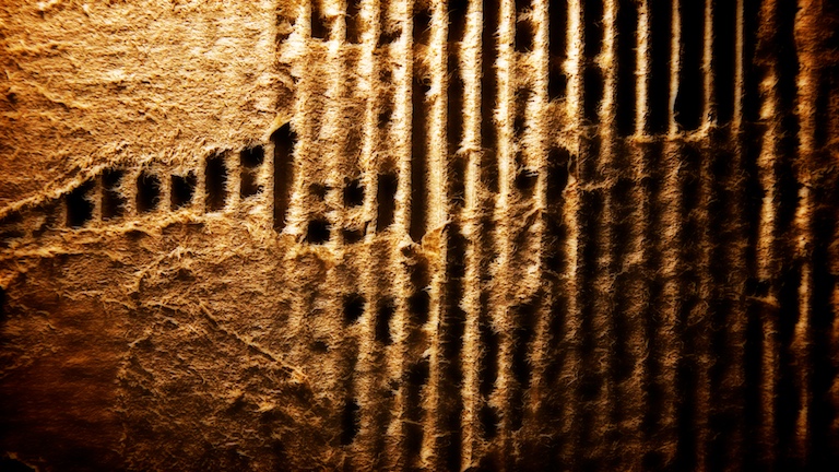 1630 - Corrugation Fuzz