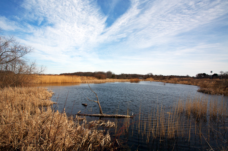 913 - Across the Panne