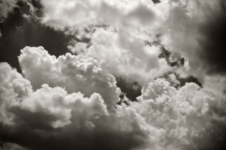 1355 - A Certain Sign of Summer