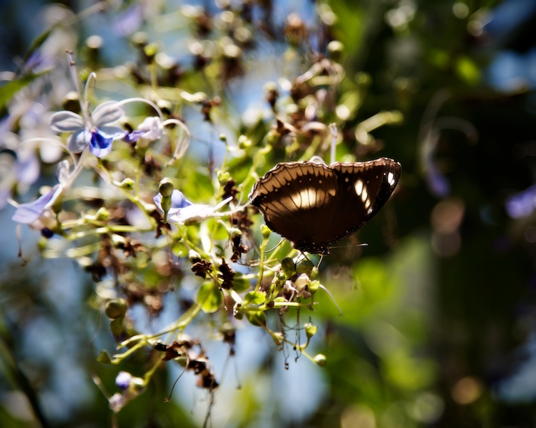 1349 - Catching Light