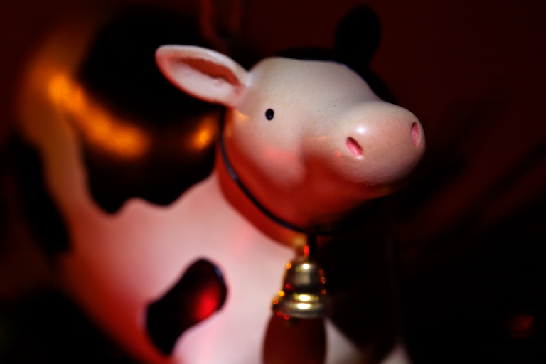 819 - Until the Cow Comes Home