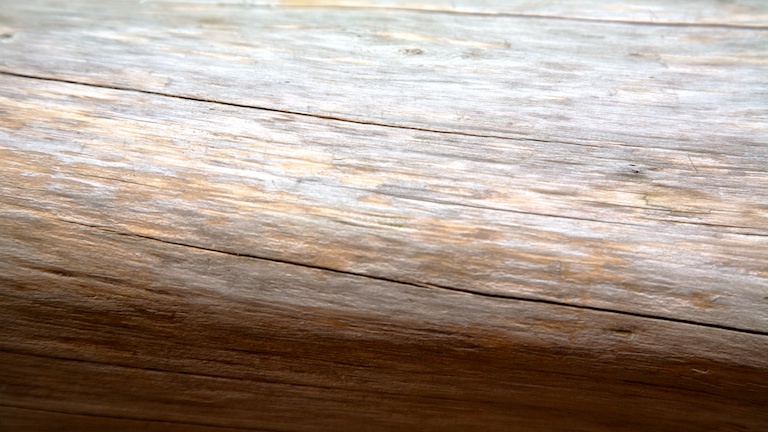 3129 - Different Tapestry