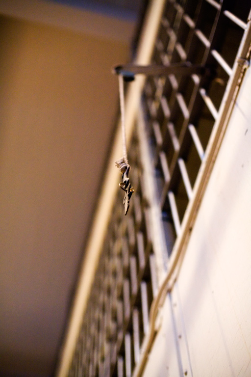 668 - Dangling Delivery