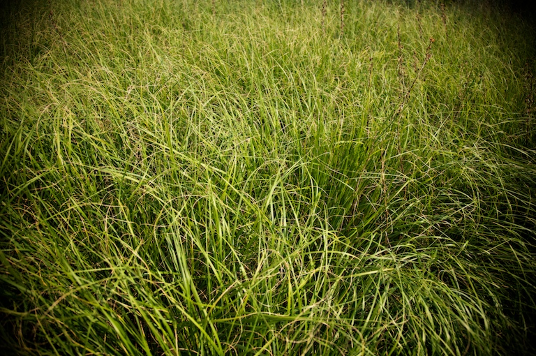 1405 - Density of Texture