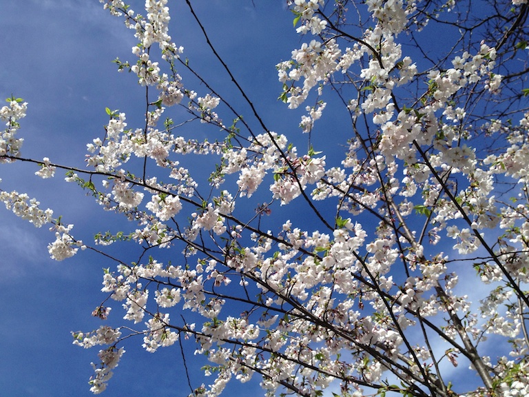 2911 - Despite the Chill