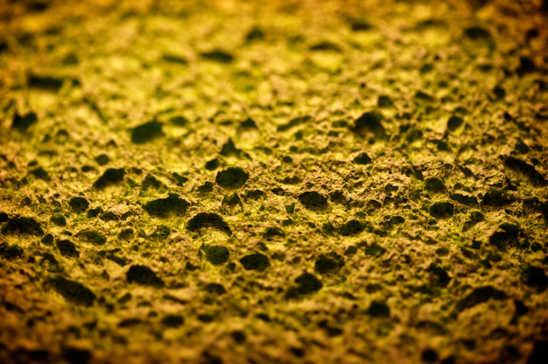 1202 - Dessicated Craters