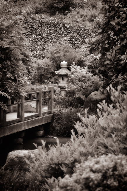 1047 - Destination Contemplation