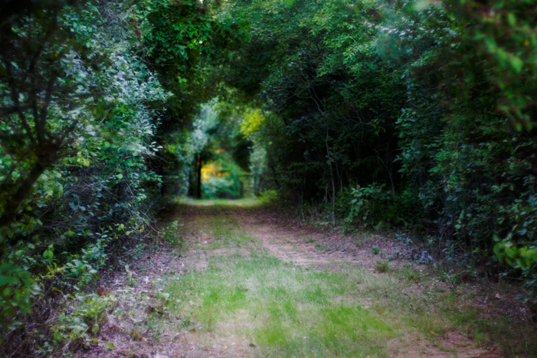 364 - Destination Unknown