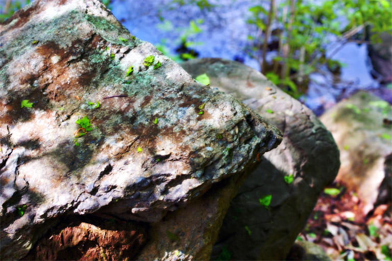 259 - Quiet Embankment