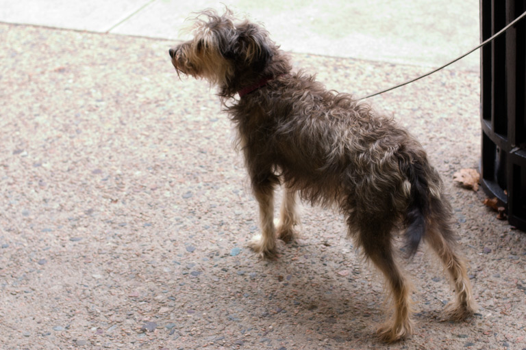 440 - Focus, Awaiting