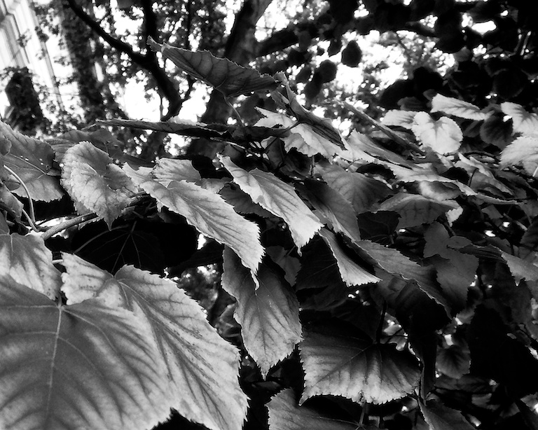 3018 - Fading Clusters