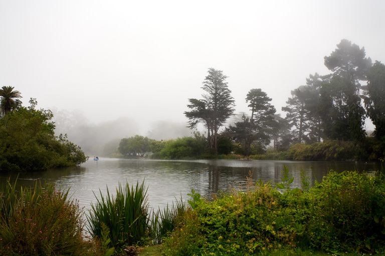 861 - A Foggy Invitation