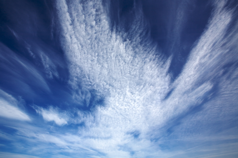 911 - Fleece Expanse