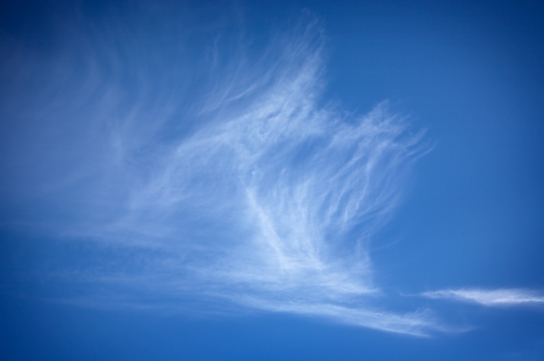 1153 - Flutter and Tumble