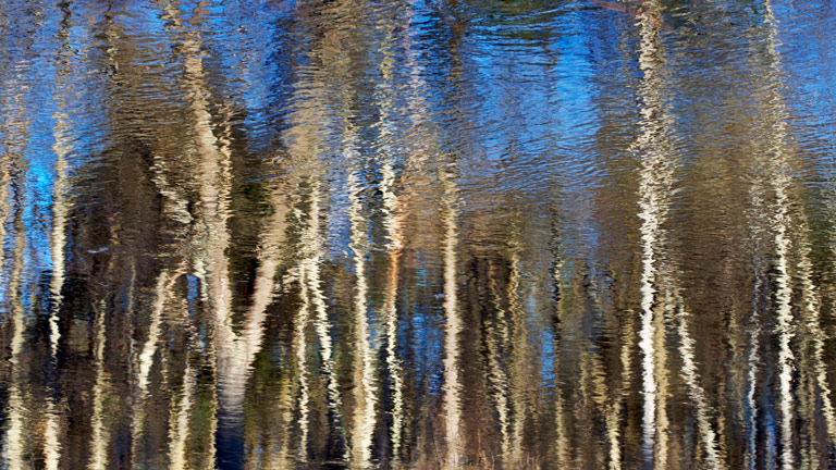 792 - Fluid Impressions