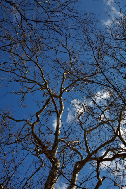 904 - A Fine Obsession