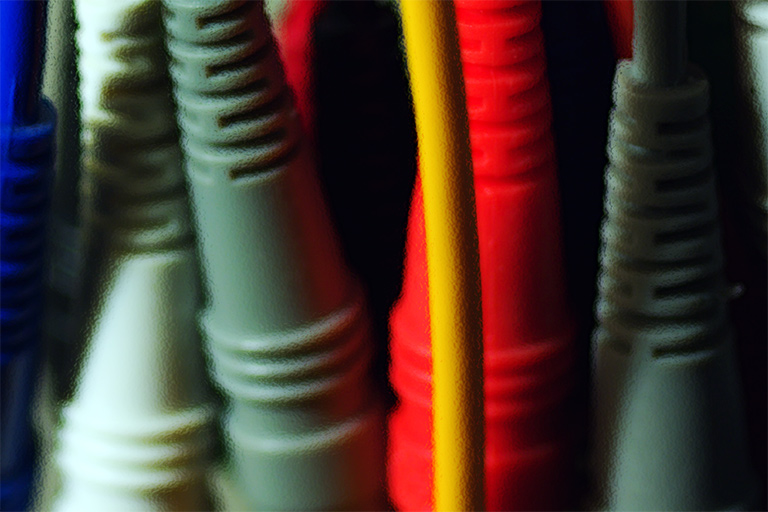 241 - Forested Connections