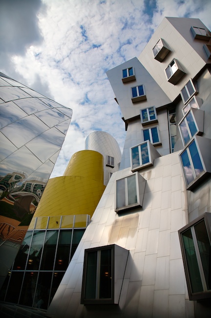 1336 - Fear of Falling (Stata Study #2)