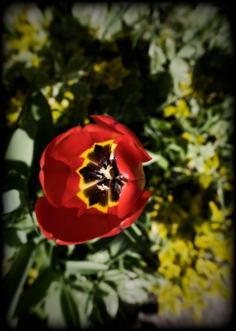 1332 - A Fresh Outlook