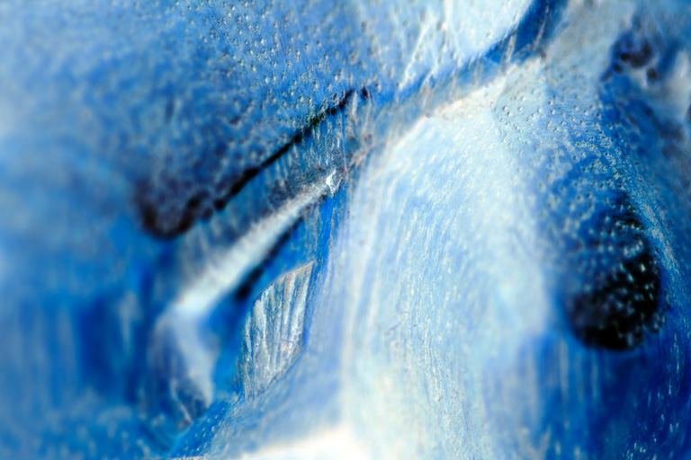 324 - Frozen Objective