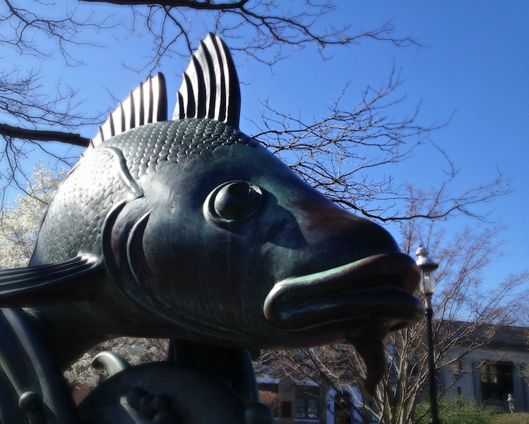 2915 - Fish Out of Water